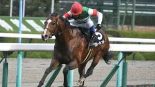 【シルクロードS展望】高松宮記念への重要ステップ、逃げて勝つのは難しい