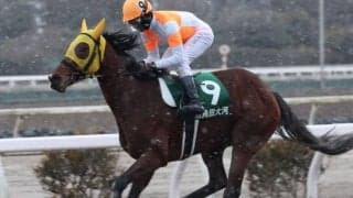 【全日本新人王】JRA角田大河が2連勝で優勝「強い馬に乗せて戴いた結果」…今村聖奈は総合8位