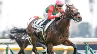 朝日杯FSで3着のレイベリング 共同通信杯はM.デムーロ騎手との新コンビ