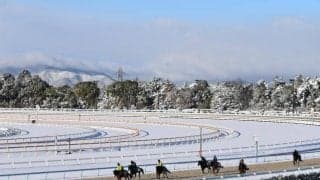 寒波の影響受けて馬場閉鎖、栗東トレセン/栗東トレセンニュース