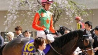 落札価格は1億5000万円 シゲルピンクダイヤが繁殖馬セリ史上最高価格を大幅に更新