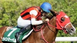 ウインマーベルは酷量克服なるか 芝1200mを59kg以上で勝てば17年ぶり