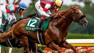 ウインカーネリアンやエアロロノアなど東京新聞杯に19頭