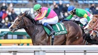 テイエムサウスダン＆ヘリオスに逆風データあり！ 根岸Sで昨年ワンツー