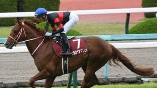 【根岸S予想】AIが指名したのはまさかの穴馬!? 不安要素を覆す激走なるか