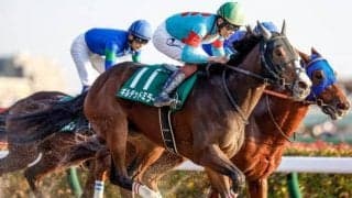 【根岸S出走馬・騎手確定】レモンポップ＆戸崎圭太騎手、ギルデッドミラー＆三浦皇成騎手など16頭