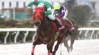 【姫路・兵庫クイーンセレクション結果】サラキャサリンが逃げ切り、松木大地騎手と人馬で重賞初V