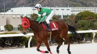 【兵庫クイーンセレクション】サラキャサリンが人気に応える…人馬共に重賞初制覇