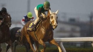 クリノドラゴンに骨折判明 今後6カ月以上の休養を要する見込み