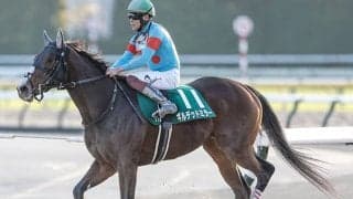 【根岸S予想】軸は決め手充分な“末脚自慢”を狙え！データが示す勝利への必要条件とは