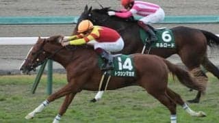 シルクロードＳは「2021年以降の芝1200ｍ」の種牡馬別成績で絞る。注目は、芝短距離で飛躍しそうな２頭