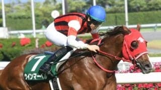 【シルクロードS枠順確定】ナムラクレアは2枠2番、ウインマーベルは8枠14番