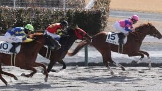 【新馬/中京3R】古川奈穂騎乗 13人気メイトースイがデビューVで波乱