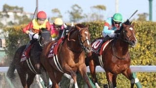 【東海S】ムルザバエフ騎乗 プロミストウォリアが重賞初制覇…ヴァンヤールはスタートで落馬