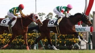 【新馬/中京6R】モーリス産駒 ハートループがデビューV