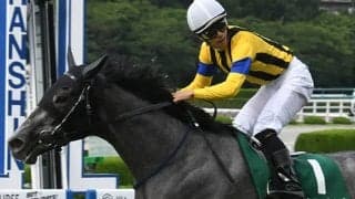 21年のマーメイドS覇者のシャムロックヒルが登録抹消 今後は社台ファームで繁殖入り