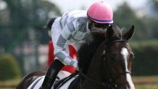 攻めでテイエムサウスダンを圧倒！ シャーンゴッセがダートで一変だ