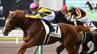 前走は勝負所で大きな不利… ラウルピドゥが日田特別で巻き返し