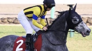 シャムロックヒルが競走馬登録抹消