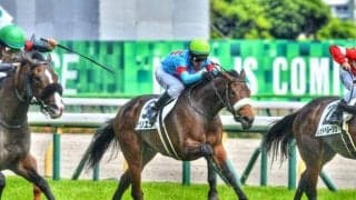 東京芝はディープインパクト産駒の天下！ サリエラは負けられない