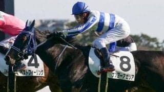 前走は直線で致命的不利…ナンヨーアゼリアがうっ憤晴らす