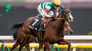 ナミュールやウインカーネリアンなど東京新聞杯に19頭