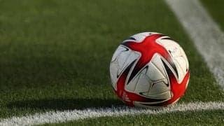 JFLの2チームが名称変更、ホンダロックSCが「ミネベアミツミFC」、MIOびわこ滋賀が「レイラック滋賀」に