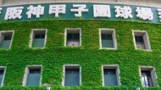 野球指導から暴力が消えない理由　「負の遺産」から脱却を