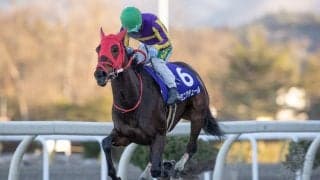 【水沢・金杯】ミニアチュールが4馬身差圧勝！山本政「素晴らしく良い反応」