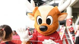 最後の「Jリーグマスコット総選挙」11位〜30位が発表! 惜しくもトップ10を逃したのは中間発表から順位を下げた鹿島のアントン