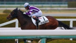 【新馬/阪神5R】9番人気ゼンダンゴクウがデビューV…酒井学騎手はJRA通算400勝