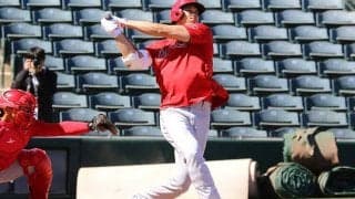 【MLB】大谷翔平の打球直撃…トラックは「余裕で弁償できそう」　羨望の声「逆にプレ値に」