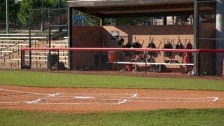 “珍客”乱入で試合中断「一体何が…」　飛び回る“ランナー”に実況も大困惑