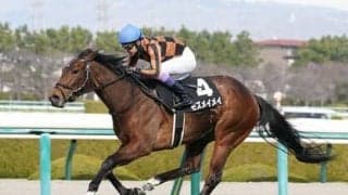 チューリップ賞はディープインパクト系が好成績　マイラー血統の本命馬と大物牝馬が多いキズナ産駒の２頭を狙う