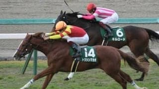 高松宮記念はサクラバクシンオーの血を持つ４歳馬の「父仔制覇」に期待 対抗もスプリンターの資質を秘める良血馬