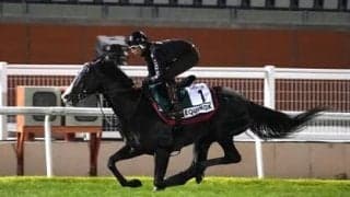 ドバイWCデーの馬券発売４レースで狙うべき「盲点の馬」は？イクイノックスら人気の日本馬たちの陰に実力馬あり