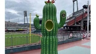 マツダスタジアムに新オブジェ　リアルすぎる「タガメ」や3mの「サボテン」など登場