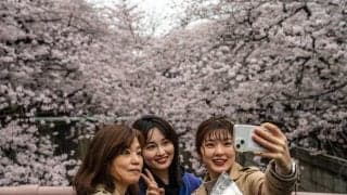 もしも日本代表が桜をモチーフにしたユニフォームを作成したら…海外メディア紹介の1枚に賛否「美しい」「血管に見える」