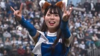 しっぽ“フリフリ”のチアが「かわいすぎ」　スタンドも虜に「世界にバレてしまう」