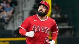 【MLB】レンドン、5試合の出場停止処分　敵地ファンと一触即発の口論トラブル…機構発表