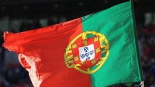 「思ったよりデカかった」「想像と違う」試合中に色鮮やかなインコがピッチに侵入…選手のユニフォームと色がそっくりで「仲間と思ったのでは？」