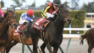 ヴェルトライゼンデに両前浅屈腱炎が判明 今後は9カ月以上の休養を要する見込み