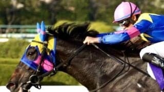 土曜は道悪歓迎のサウンドビバーチェが狙い目 理想の競馬で渋太く粘り込む