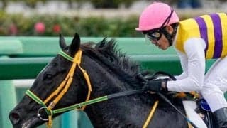 【葛飾特別】中山ダ1200m×中7週以上 好走条件揃ったセイウンハルカニが高配提供だ