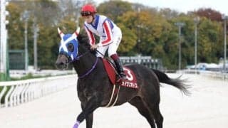 【ニュージーランドT予想】大敗からの巻き返しはキャリアが決める!? 波乱含みの一戦で狙えない穴馬とは