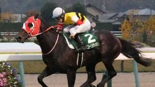 【クイーンエリザベスS】ユニコーンライオン近況…「集中力が高まってきている」