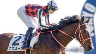 GI馬シュネルマイスターの半弟ほか アーリントンCの出走想定馬25頭