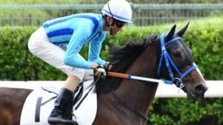 【花見山特別】前走芝替わりで一変 チャーミングアクトが距離短縮で決める