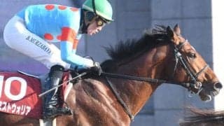 4連勝で重賞初制覇飾ったプロミストウォリアほか アンタレスSの出走想定馬18頭
