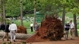 強風オーガスタで松の大木が3本倒れる 悪天候のマスターズ2日目